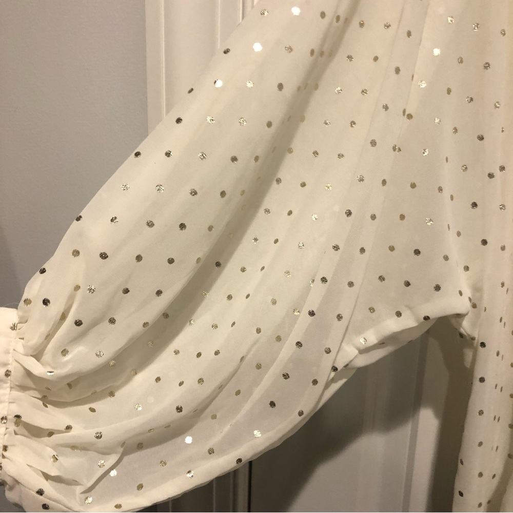 Zara Sheer Polka Dot Blouse - Picture 7 of 9